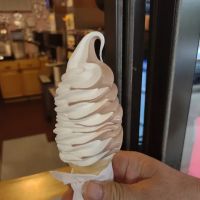 Fudgy's Ice Cream ico