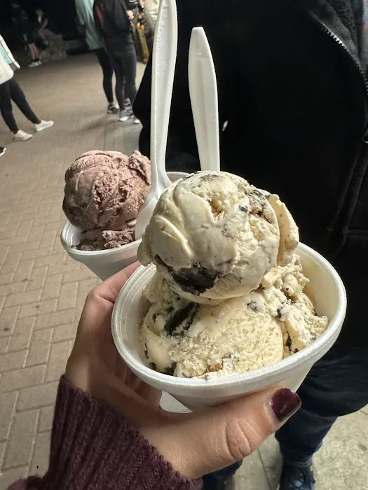 Rich Farm Ice Cream Shop Picture 3