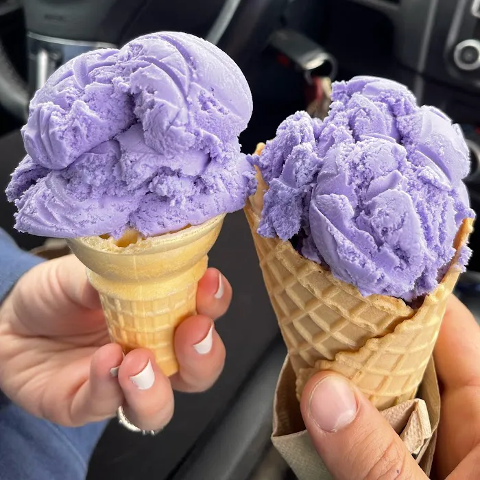 Dairy Delight Ice Cream Shop Picture 6