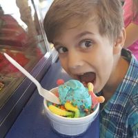 Sundaes The Ice Cream Place ico