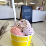 You Scream Ice Cream