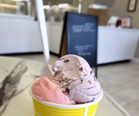 You Scream Ice Cream