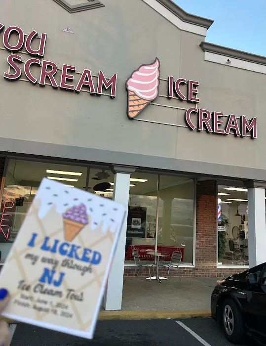 You Scream Ice Cream Picture 5
