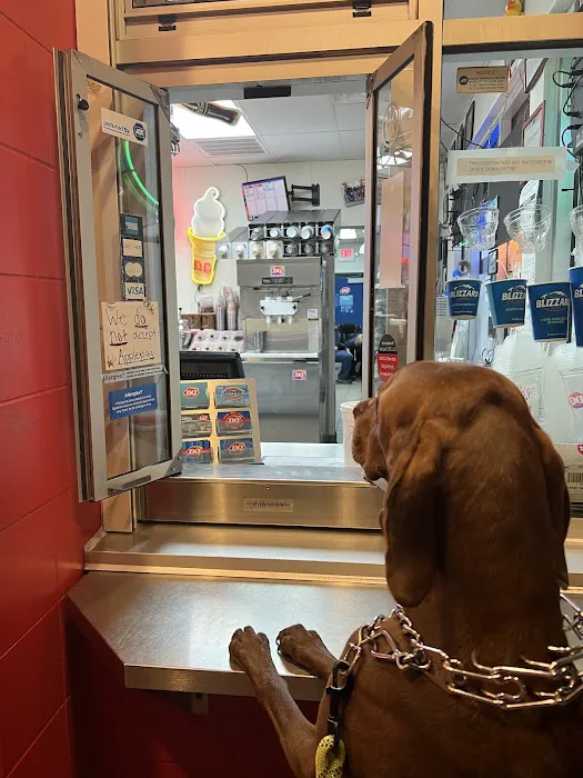 Dairy Queen (Treat) Picture 8