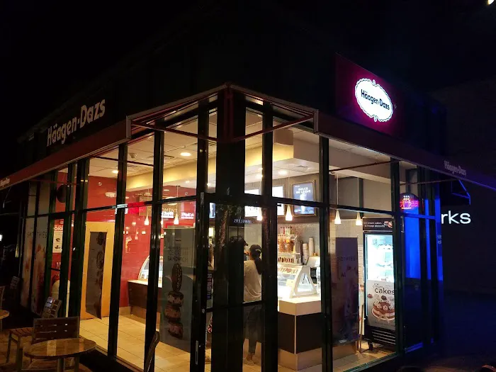 Häagen-Dazs Ice Cream Picture 1