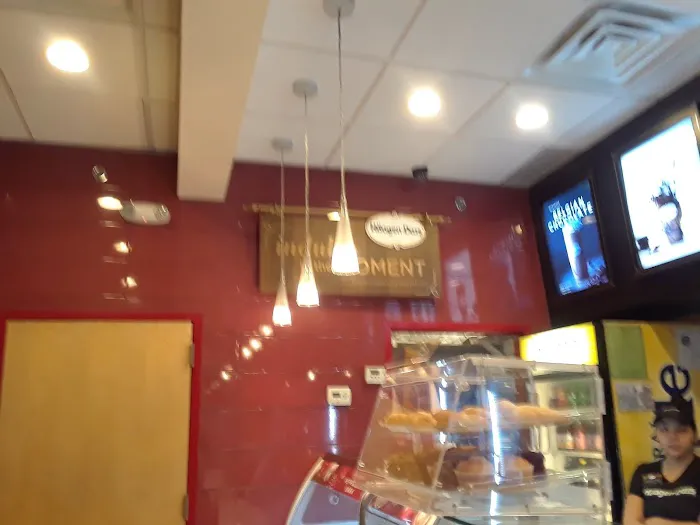 Häagen-Dazs Ice Cream Picture 9