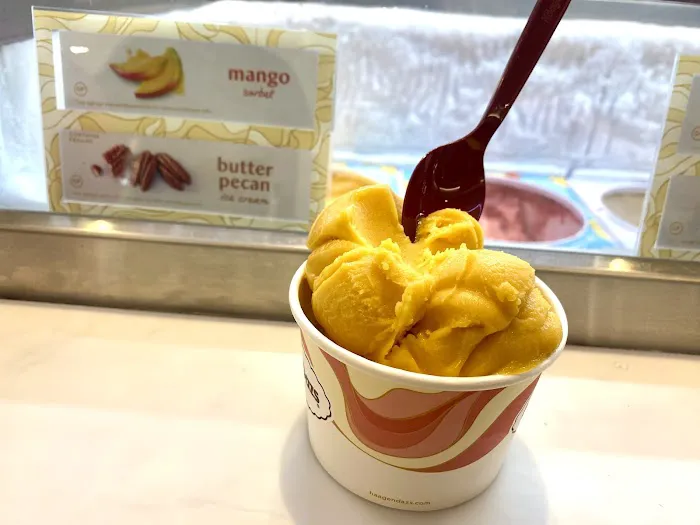 Häagen-Dazs Picture 5