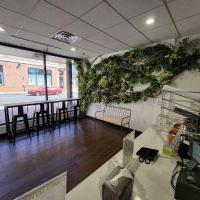 Matcha Cafe Maiko ico