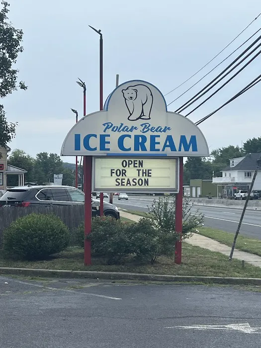 Polar Bear Ice Cream Picture 9