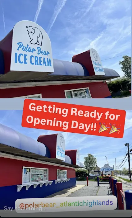 Polar Bear Ice Cream Picture 6