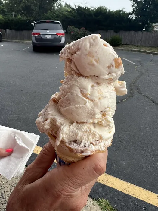 Polar Bear Ice Cream Picture 7