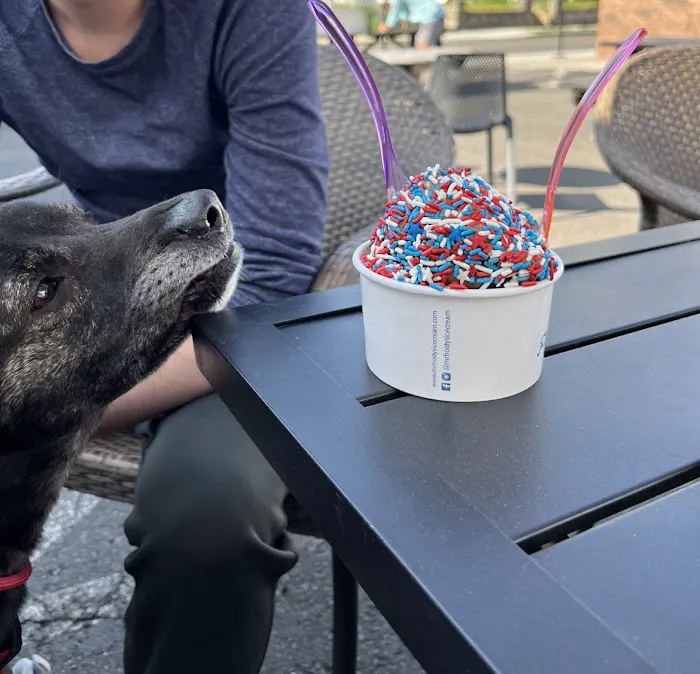 Mr. Frosty's Ice Cream Shop Picture 6