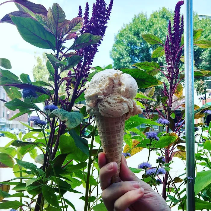 Ice Cream Alley Picture 2