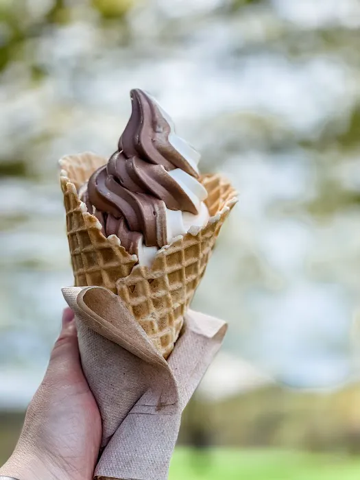 Townline Ice Cream LLC Picture 8