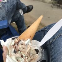 The Country Creemee ico
