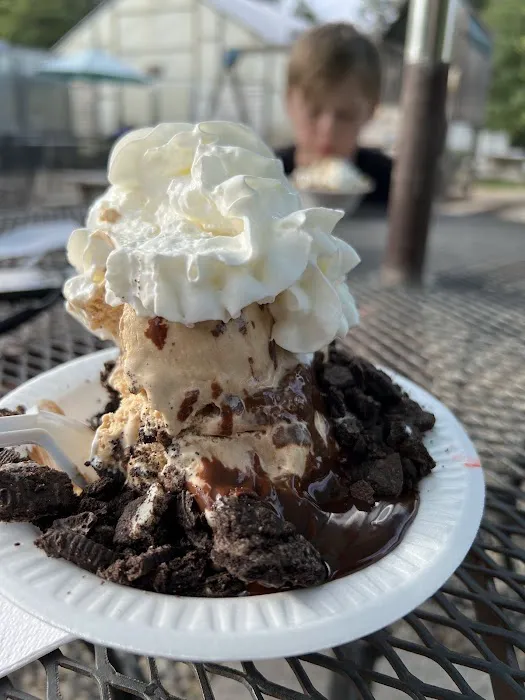 Village Green Ice Cream Picture 6