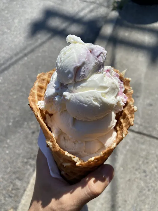 Blueberry Haus Picture 3