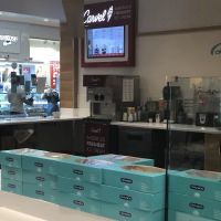 Carvel Express ico
