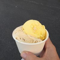 Golly G's Ice Cream ico