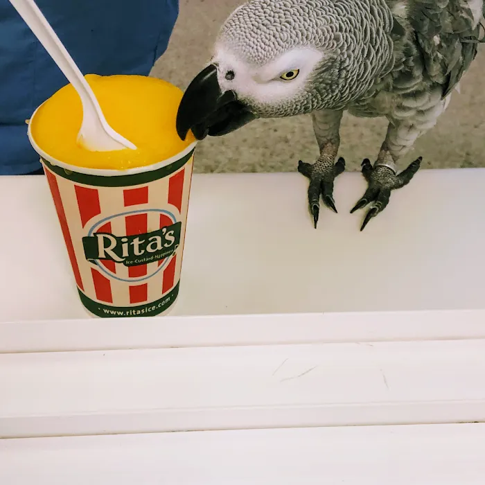 Rita's Italian Ice & Frozen Custard Picture 10