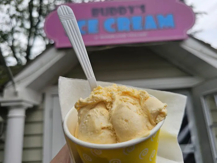 Buddy's Ice Cream And Acai Bowls Picture 3