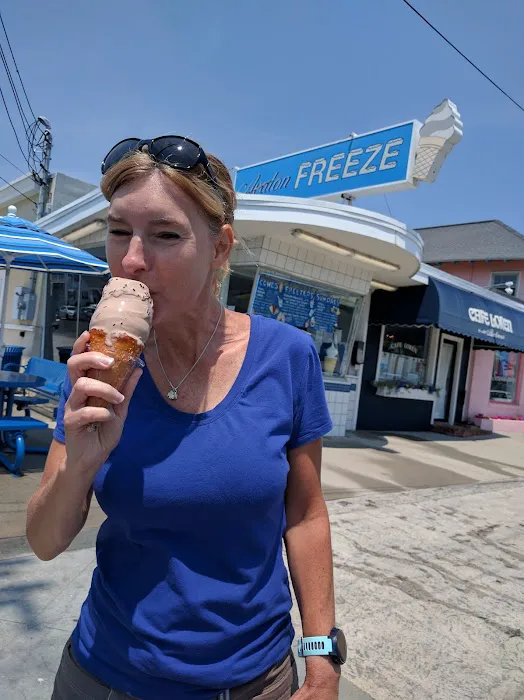 Avalon Freeze Picture 1