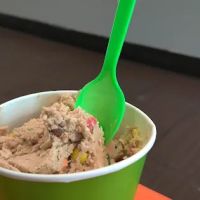 Dodo cookie dough and ice cream ico