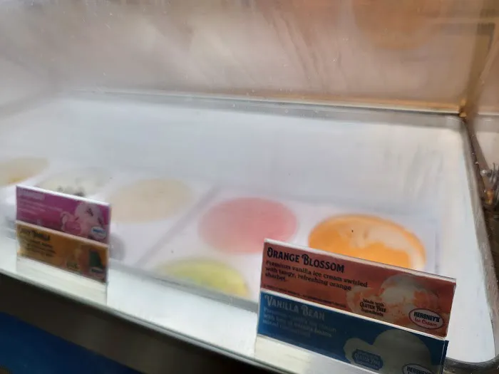 Take A Dip Ice Cream Shop Picture 6