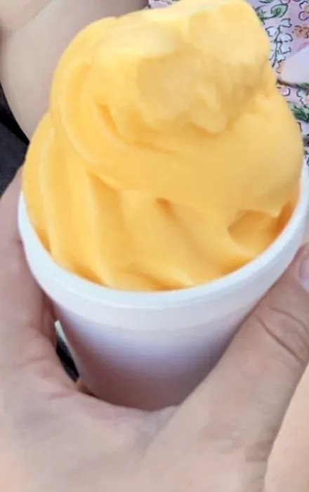 TLC Polish Water Ice Picture 2