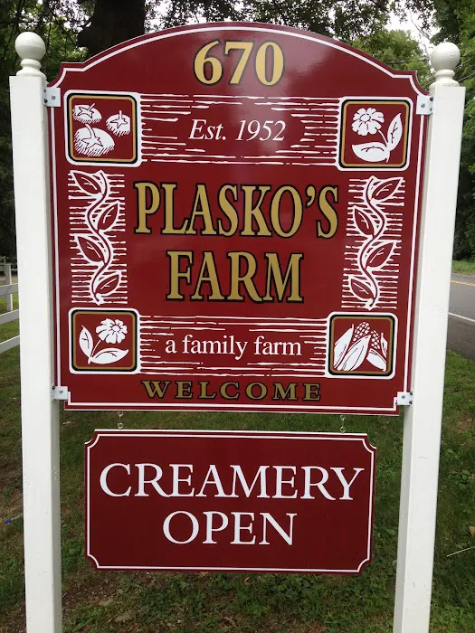 Plasko's Farm Creamery & Cafe Picture 1