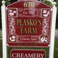 Plasko's Farm Creamery & Cafe ico