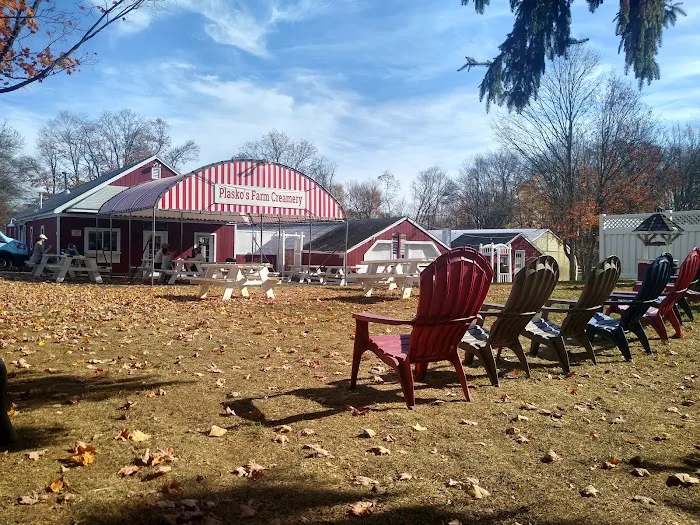 Plasko's Farm Creamery & Cafe Picture 7