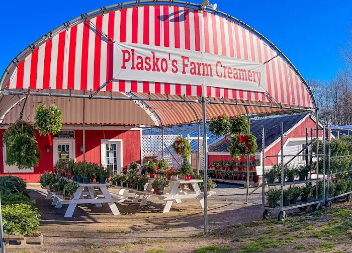 Plasko's Farm Creamery & Cafe Picture 3