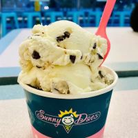 Sunny Daes of Trumbull ico
