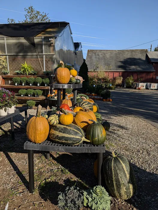 Wells Hollow Creamery Picture 5