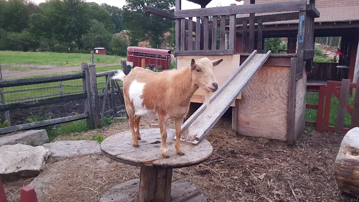 Wells Hollow Creamery Picture 6