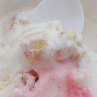 Scooper's ico