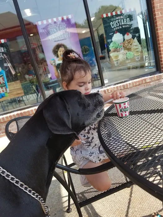 Rita's Italian Ice & Frozen Custard Picture 8