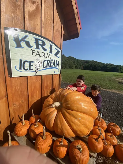 Kriz Farm Ice Cream Picture 10