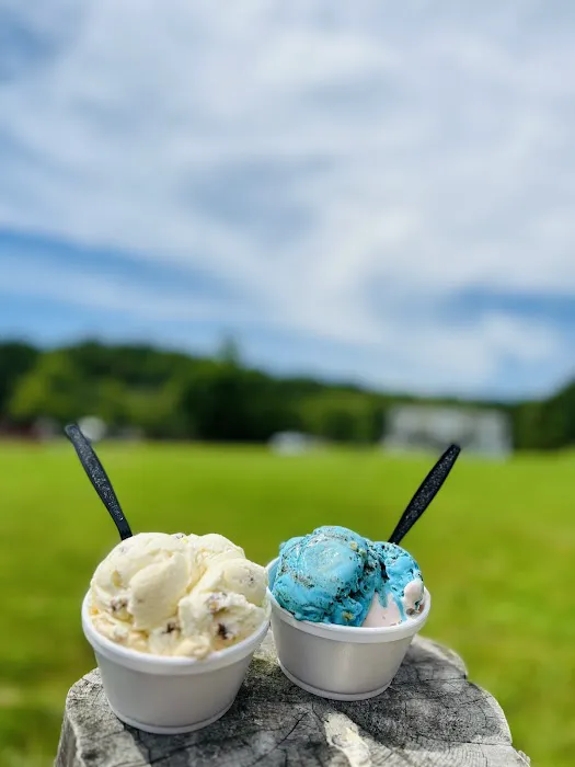 Kriz Farm Ice Cream Picture 4