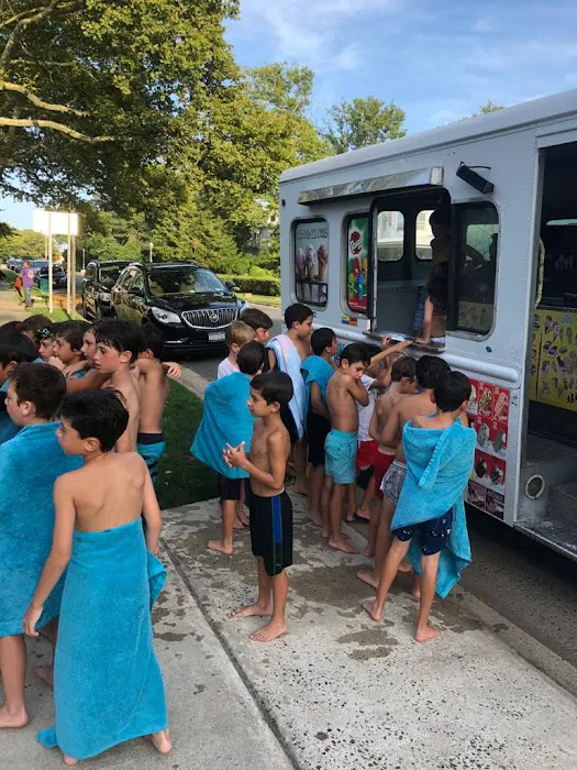 Twins ice cream truck Picture 5