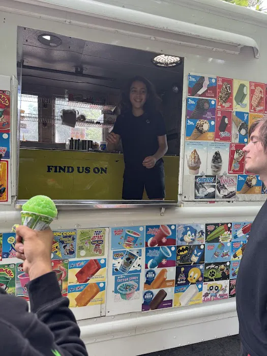 Twins ice cream truck Picture 3