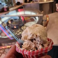 Del Ponte's Cafe & Creamery ico