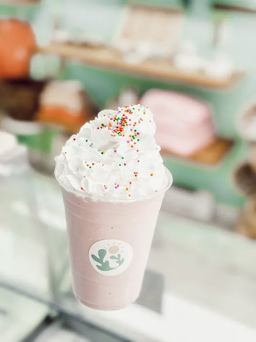 Courtney's Ice Cream Shoppe Picture 8