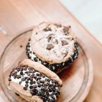 Courtney's Ice Cream Shoppe ico