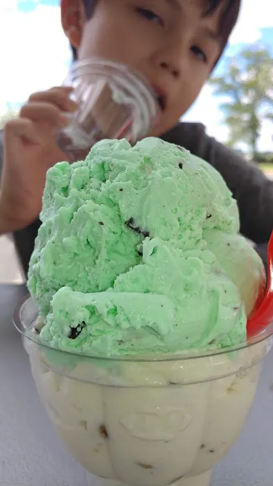 Dairy Queen (Treat) Picture 3