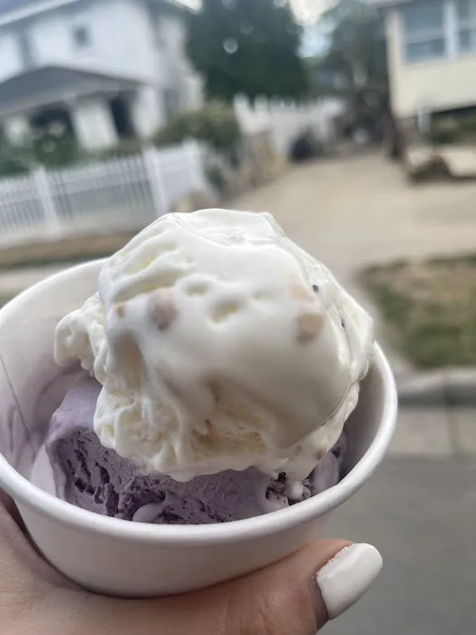 Niki Maccanico's Homemade Ice Cream Picture 4