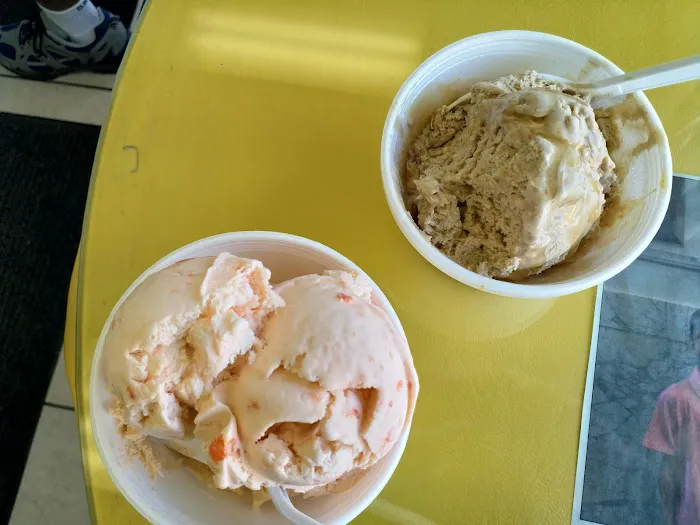 Niki Maccanico's Homemade Ice Cream Picture 7
