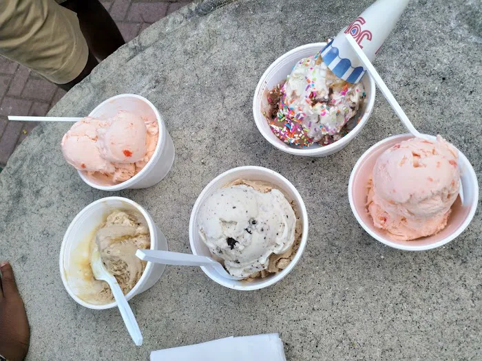 Niki Maccanico's Homemade Ice Cream Picture 9