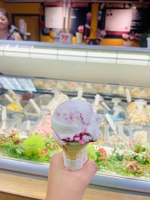 Lollipops Ice Cream And Gelato Picture 4